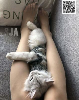色先锋人妻丝袜av影视_高清超清在线观看
